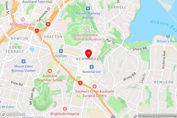 Newmarket,Auckland Area Map