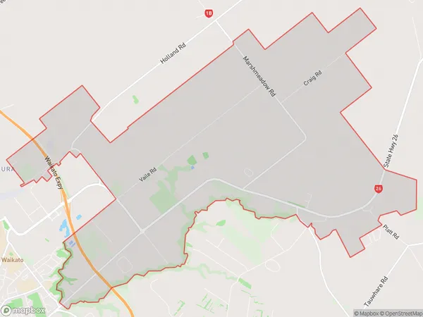 Newstead, Waikato Polygon Area Map