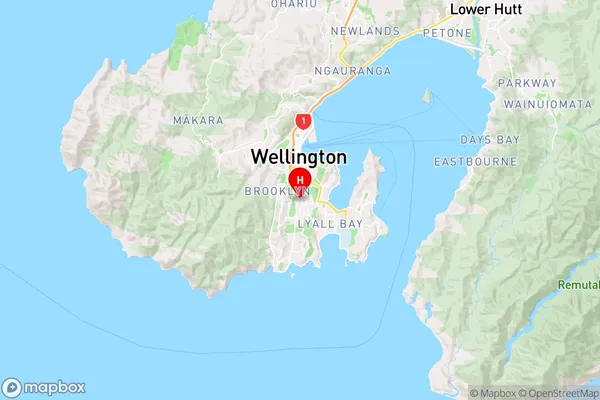 Newtown,Wellington Region Map