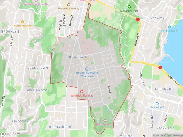 Newtown, Wellington Polygon Area Map