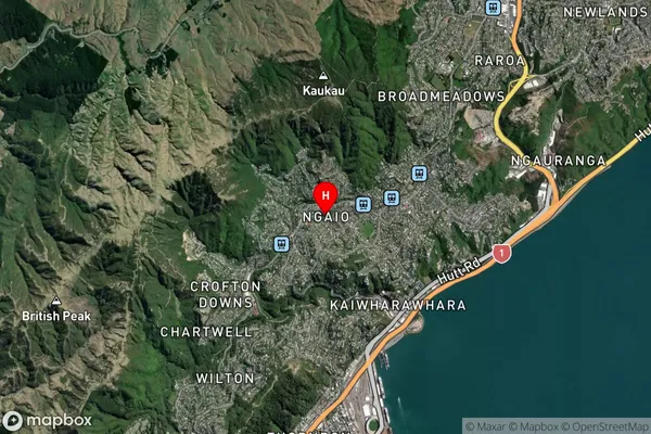 Ngaio,Wellington Satellite Map