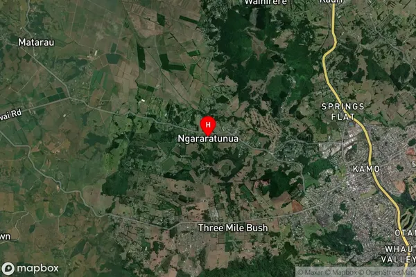 Ngararatunua,Northland Satellite Map