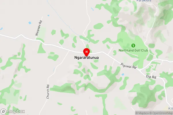 Ngararatunua,Northland Area Map