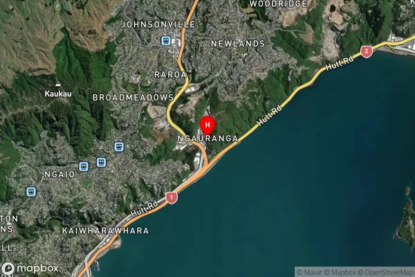 Ngauranga,Wellington Satellite Map