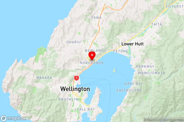 Ngauranga,Wellington Region Map