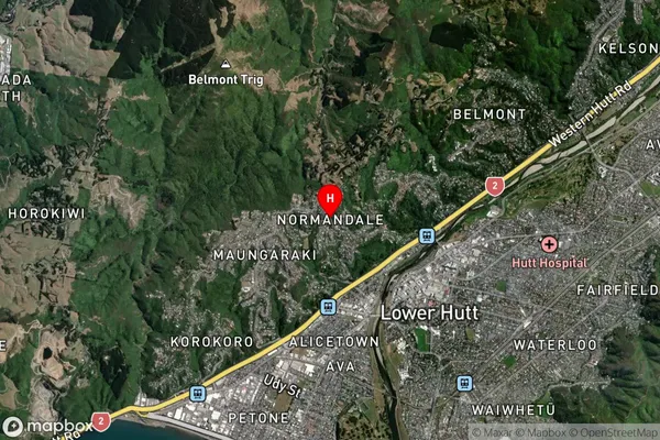 Normandale,Wellington Satellite Map