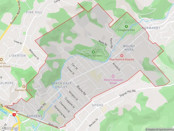 North East Valley, Otago Polygon Area Map