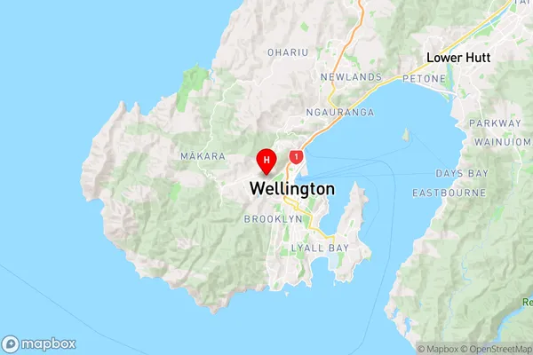 Northland,Wellington Region Map