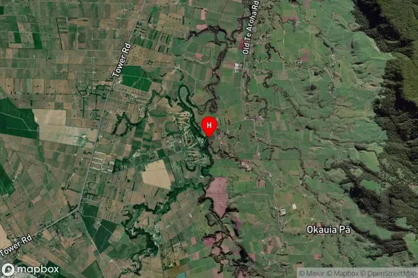 Okauia,Waikato Satellite Map