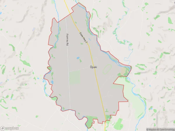 Opaki, Wellington Polygon Area Map