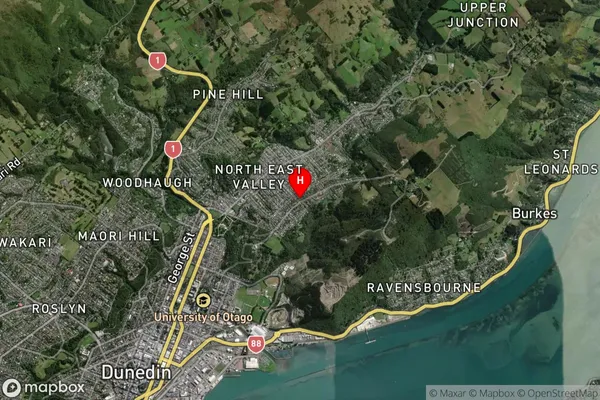 Opoho,Otago Satellite Map