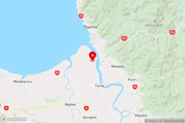 Orongo,Waikato Region Map