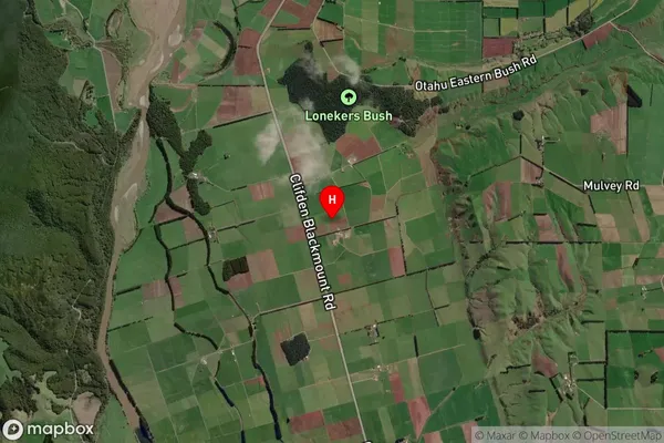 Otahu Flat,Southland Satellite Map