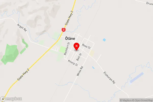 Otane,Hawke's Bay Area Map