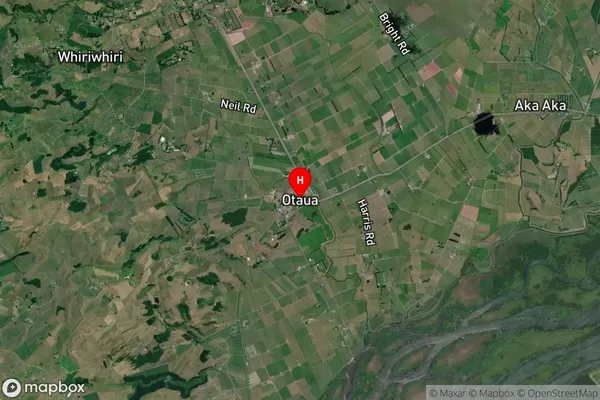 Otaua,Waikato Satellite Map