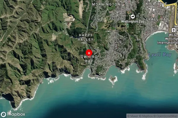 Owhiro Bay,Wellington Satellite Map