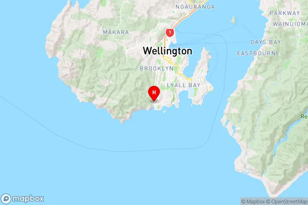 Owhiro Bay,Wellington Region Map