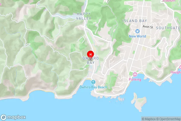 Owhiro Bay,Wellington Area Map