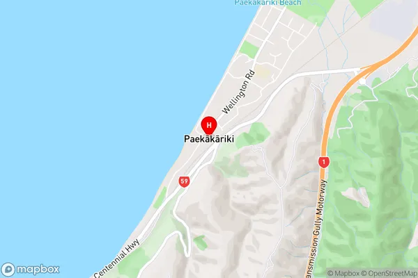 Paekakariki,Wellington Area Map