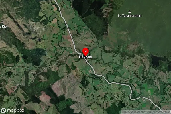 Pakotai,Northland Satellite Map