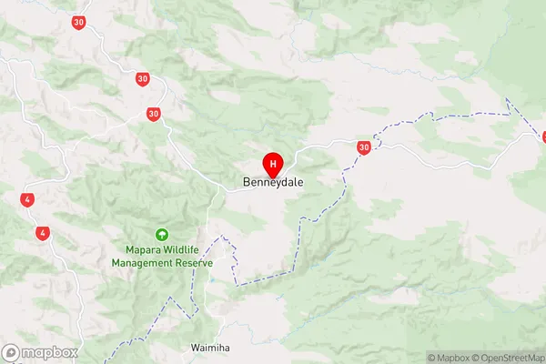 Maniaiti / Benneydale,Waikato Region Map