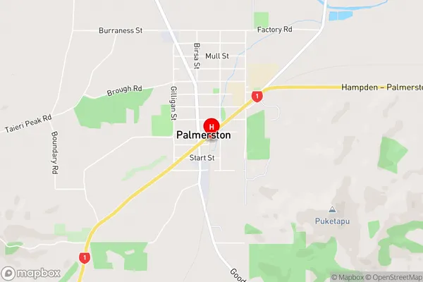 Palmerston,Otago Area Map