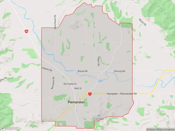 Palmerston, Otago Polygon Area Map