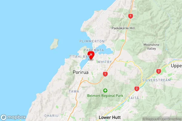 Papakowhai,Wellington Region Map