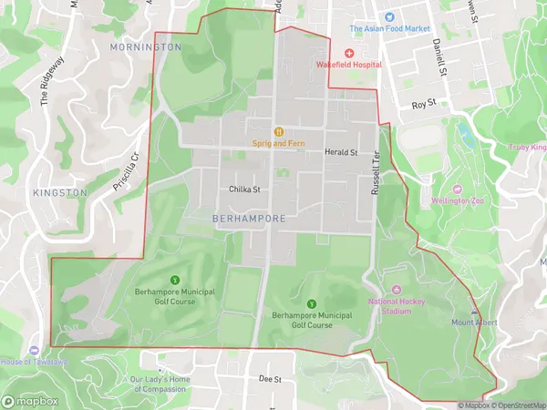 Berhampore, Wellington Polygon Area Map