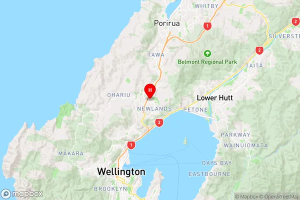 Paparangi,Wellington Region Map