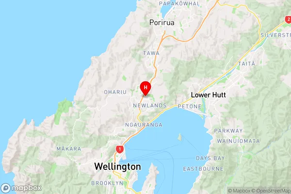 Paparangi,Wellington Region Map