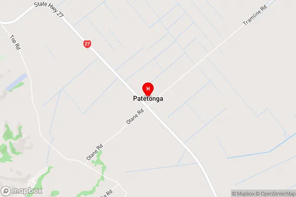 Patetonga,Waikato Area Map