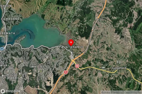 Pauatahanui,Wellington Satellite Map