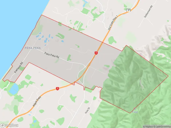 Peka Peka, Wellington Polygon Area Map