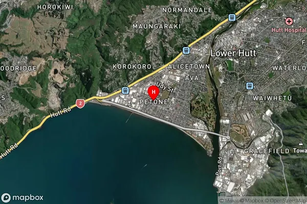 Petone,Wellington Satellite Map