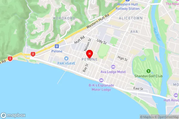 Petone,Wellington Area Map