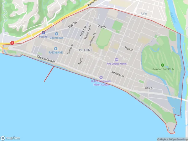 Petone, Wellington Polygon Area Map