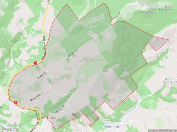 Pine Hill, Otago Polygon Area Map