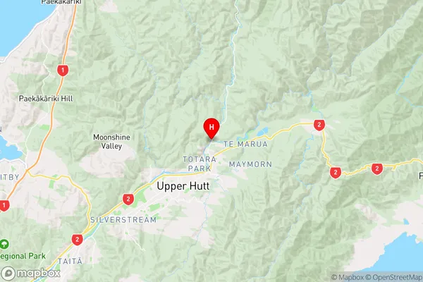 Birchville,Wellington Region Map