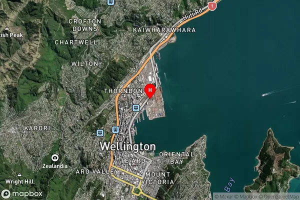 Pipitea,Wellington Satellite Map