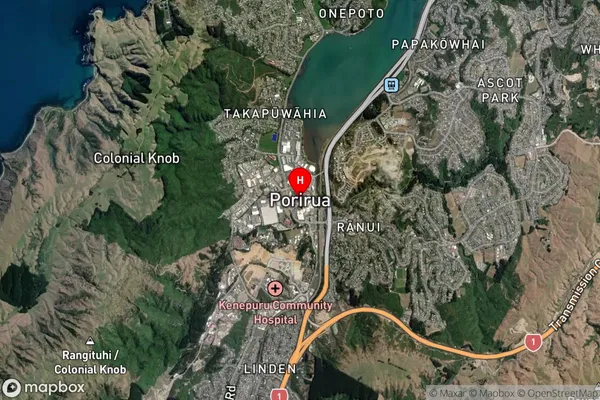 Porirua City Centre,Wellington Satellite Map