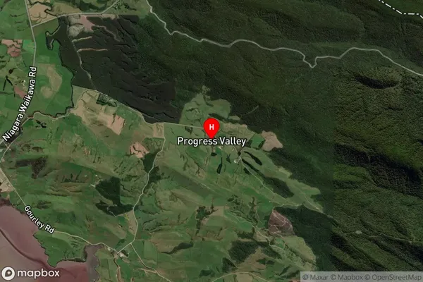 Progress Valley,Southland Satellite Map