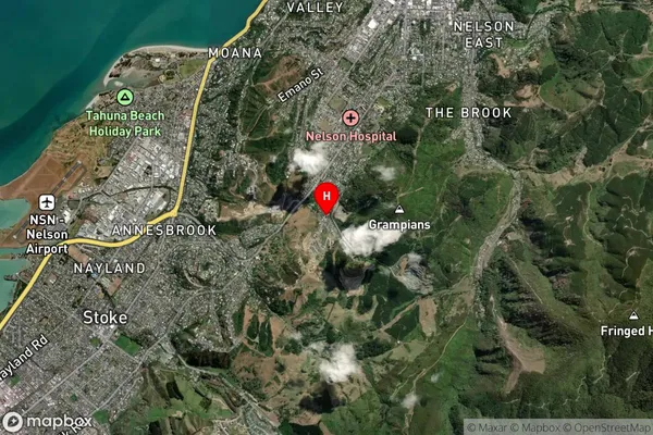 Bishopdale,Nelson Satellite Map