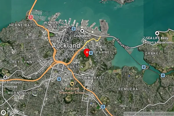 Pukekawa,Auckland Satellite Map