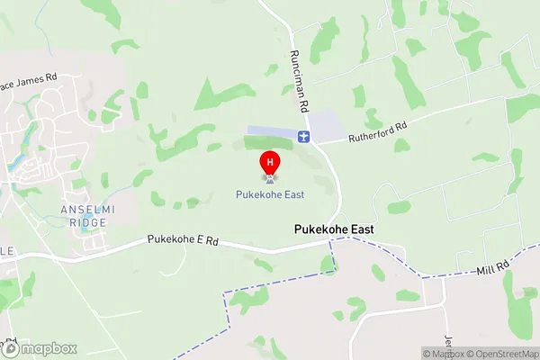 Pukekohe East,Auckland Area Map