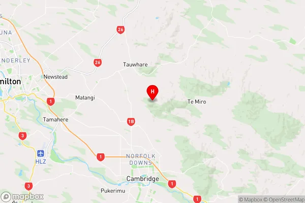 Pukemoremore,Waikato Region Map