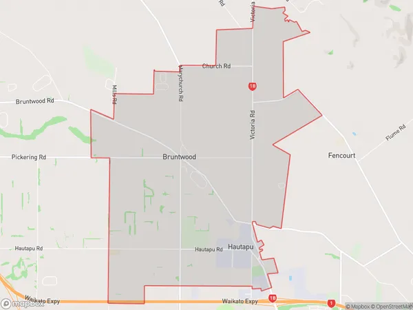 Pukemoremore, Waikato Polygon Area Map