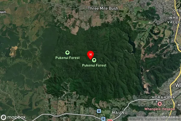 Pukenui Forest,Northland Satellite Map