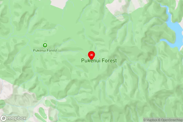 Pukenui Forest,Northland Area Map