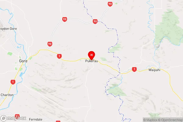 Pukerau,Southland Region Map